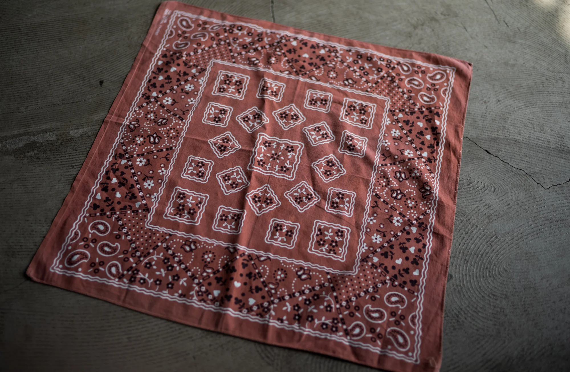 Two Cats Bandana - Image 10